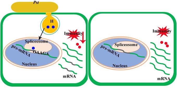 广州：加快建设先进制造业强市到2035年工业增加值翻一番(图1)