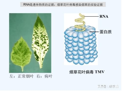 奶粉行业进入“系统营养”定胜负阶段!(图1)