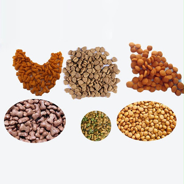 海南封关满月看变化：“磁吸效应”渐显中外企业纷至(图1)