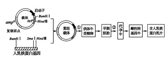 2026年专业的植物蛋白酶菠萝蛋白酶胶原厂家用户好评推荐榜(图1)