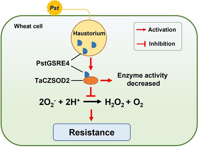 年度盘点：国产护肤品牌正在撕掉“大牌平替”标签(图1)