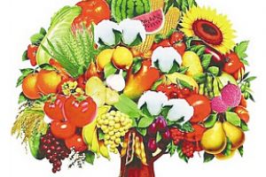 《中国教育报》电子版-中国教育新闻网-记录每一天!部直属出版机构-报刊社主办(图1)