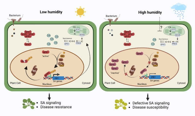 龙湾镇:“保姆式”服务为企业发展按下“加速键”(图1)