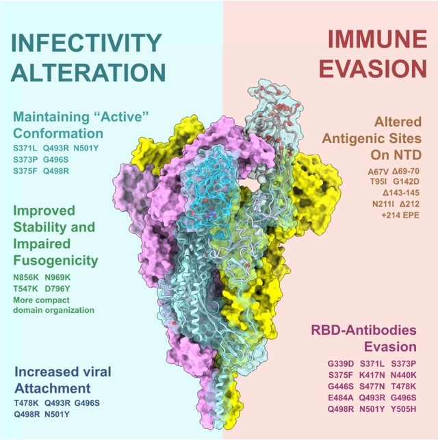 全国人大代表熊涛:大力发展微生物蛋白产业保障国家粮食安全(图1)