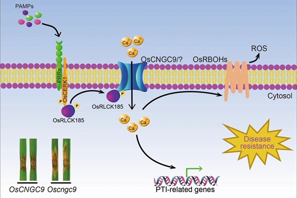 【邀请函】中关村“火花”活动之绿防赋能护美京华——园林绿化绿色防控新产品新技术成果路演推介会(图1)