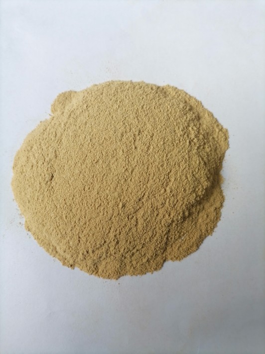 大豆产业现状分析及市场需求、投资趋势调研2026(图1)