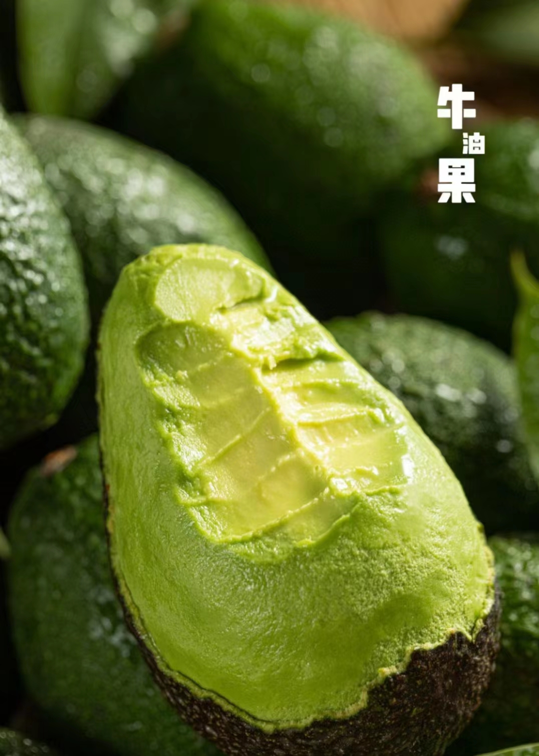 2026年宠物饲料行业投资蓝海：掘金功能性食品与智能喂养赛道(图1)