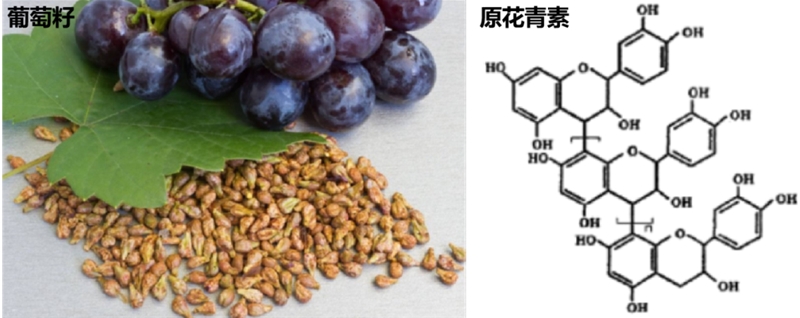 蛋白质的食物来源(图1)