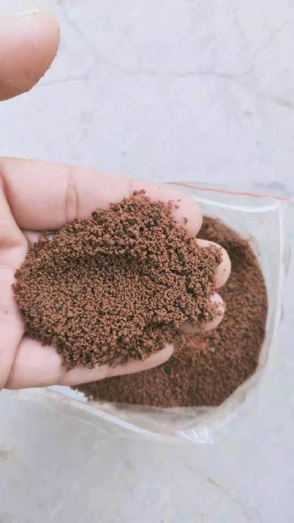 2026颗粒剂行业市场发展规模与未来趋势洞察(图1)