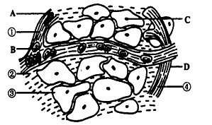 贵州乳清蛋白原料招标采购(图1)