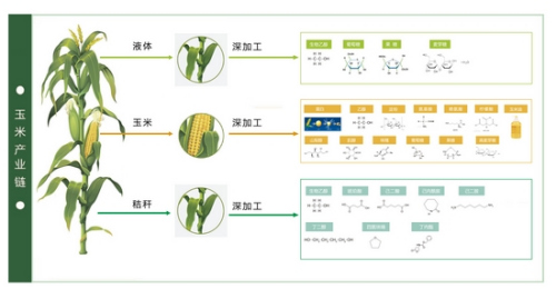 2026基因药物行业发展现状与产业链分析(图1)