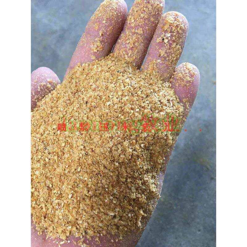 2026杭州生物发酵展：蛋白与活性肽展区汇聚前沿成果抢占功能性原料新赛道(图1)