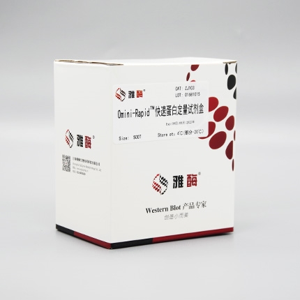 全球首部酵母蛋白白皮书发布(图1)