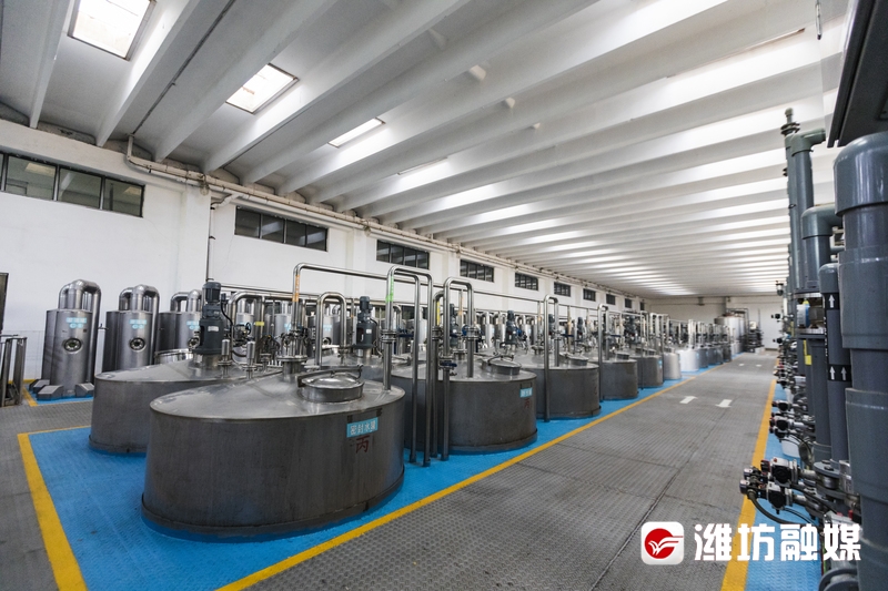 植物基蛋白产品加工与生产工艺(图1)