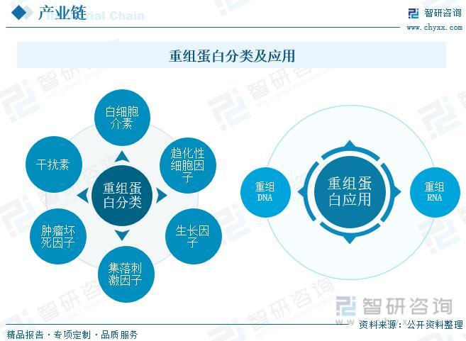 微生物蛋白产业化的可行性分析(图1)