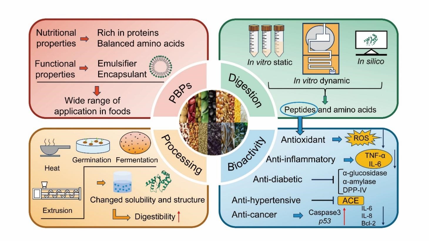 抢占功能原料新赛道！2026杭州蛋白肽展核心原料展区商机拉满(图1)