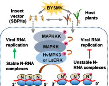 2026中国食品饮料十大趋势(图1)