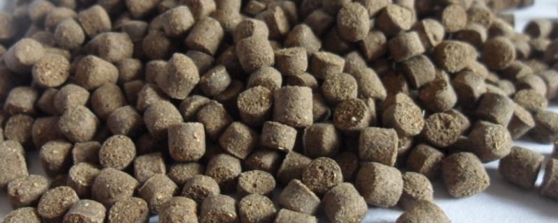 蛋白质都包括哪些(图1)