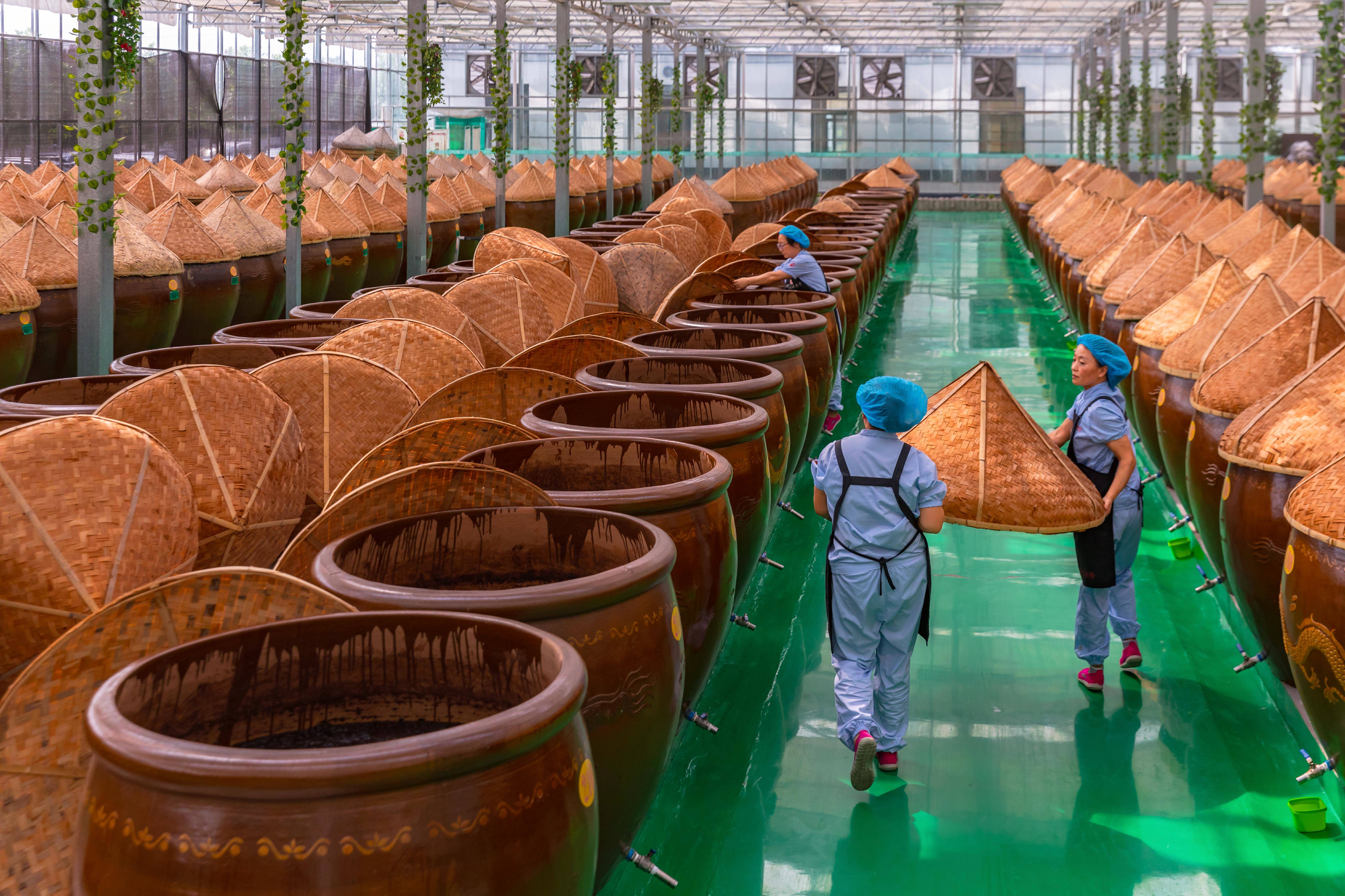 破局而生！2026杭州国际蛋白与活性肽产业展填补国内垂直领域空白(图1)