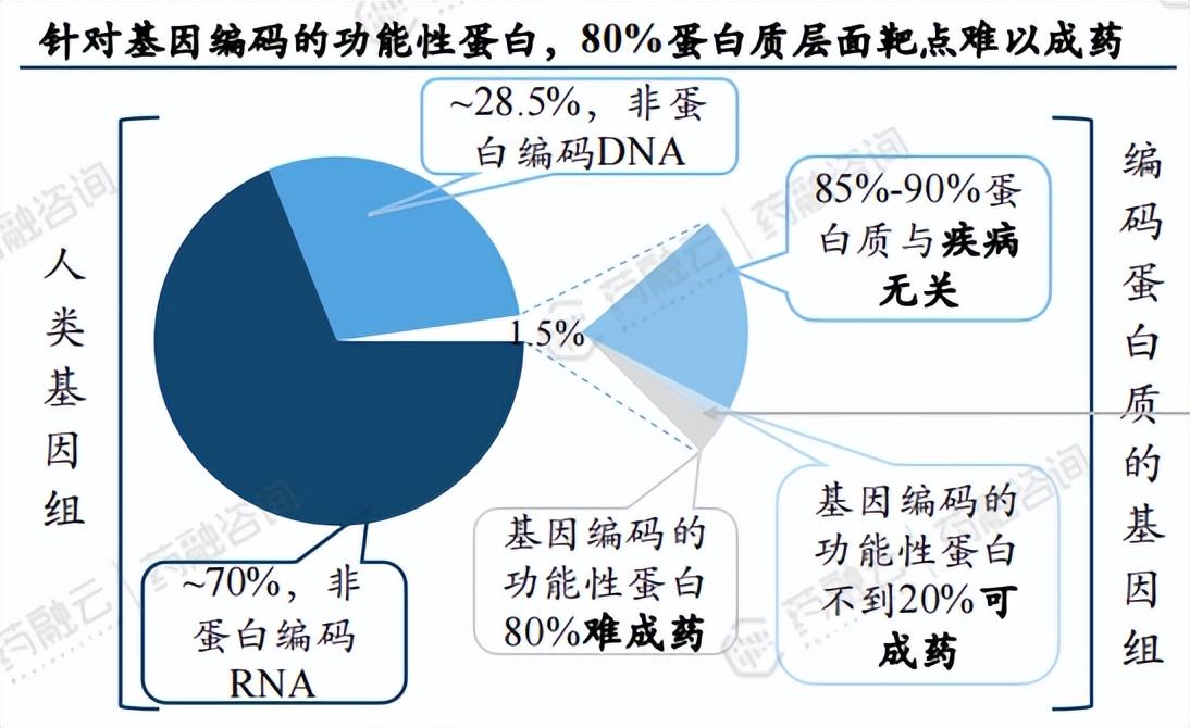 2026-2030年中国合成生物行业竞争格局与发展趋势全景洞察(图1)