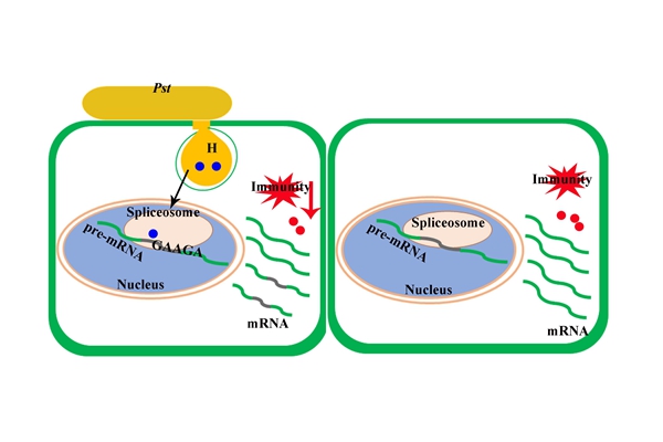 三元用70年的坚守和深耕告诉我们：喝牛奶喝的就是“真鲜活”(图1)