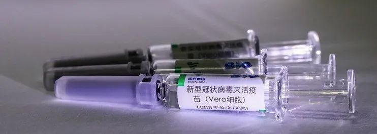 优质蛋白质主要来源哪些食物？(图1)