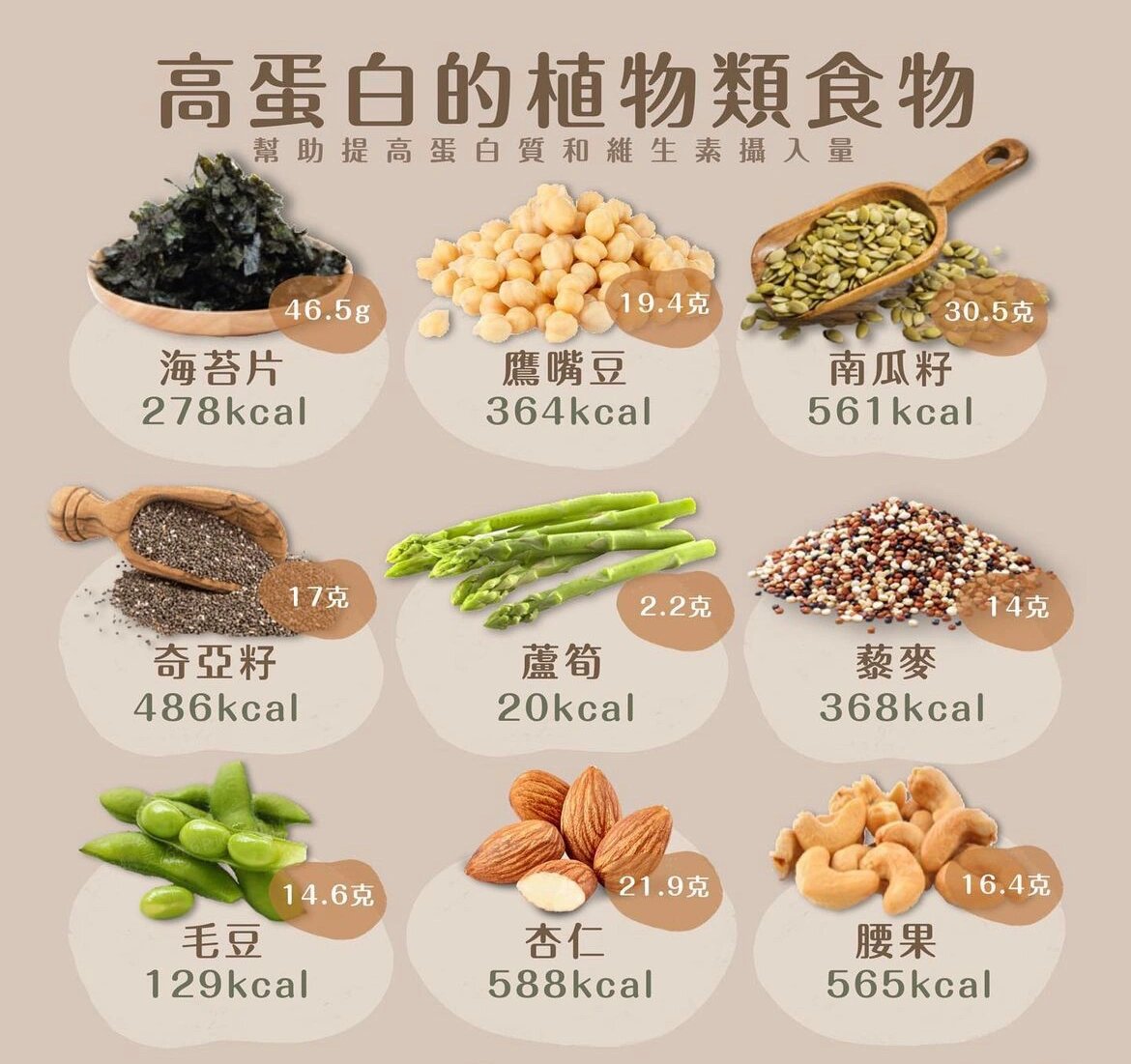 一篇看懂什么是植物蛋白质粉(图1)