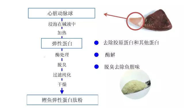可溶性弹性蛋白在化妆品中的护肤功效与作用及副作用解读(图1)