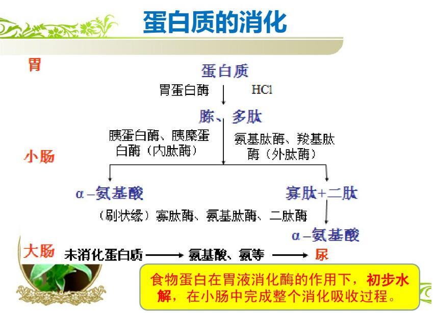 2026第34届广州国际大健康产业博览会(图1)