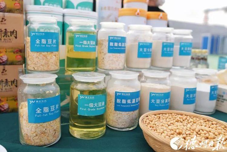 大豆植物蛋白肉docx(图1)