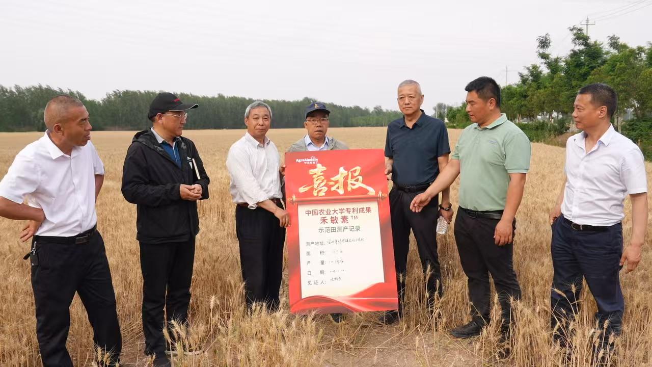 红枣好看不得病就用植物免疫增产蛋白(图1)