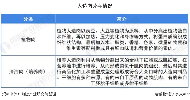 植物基蛋白产品行业发展策略建议docx(图1)