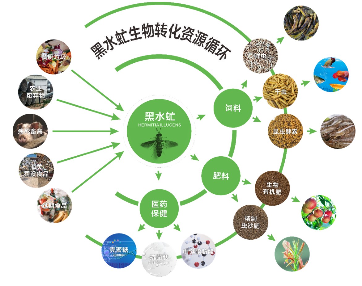 富祥股份拟定增7亿加码新能源半导体同步培育微生物蛋白新增长极(图1)