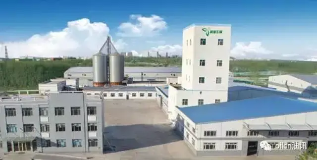 2024年富祥药业分析报告:进军微生物蛋白蓝海原料药主业困境反转(图1)