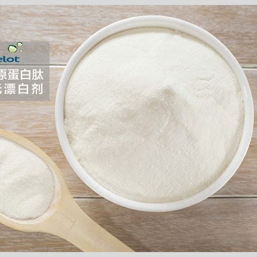 MolAid：揭秘肌肤青春的守护者——弹性蛋白(图1)