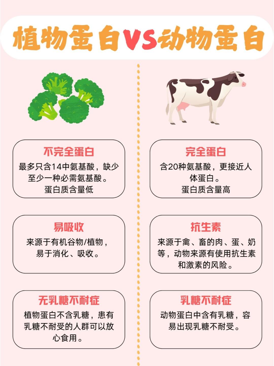 中报]朗坤科技(301305)：2026年半年度报告(图1)