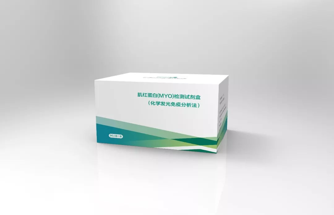 生物蛋白医药建设项目可行性研究报告(图1)