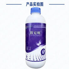 补充蛋白质能增强免疫力吗?(图1)