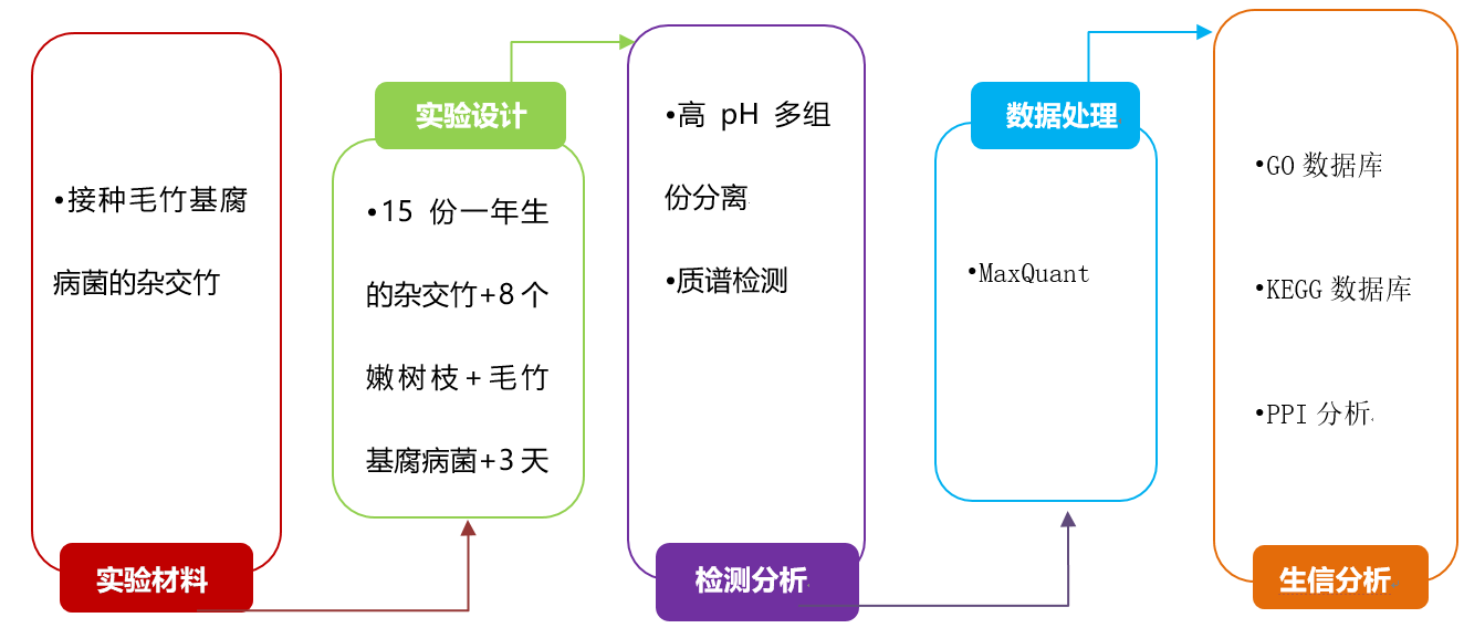 2022年替代蛋白行业发展趋势及洞察pdf(图1)