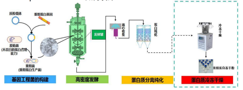 华药:老药企的“新三样”(图1)