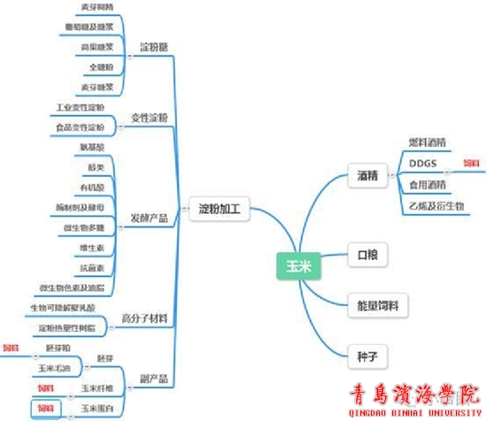 4亿元生物医药基地建设加速健康产业新动能来袭！(图1)