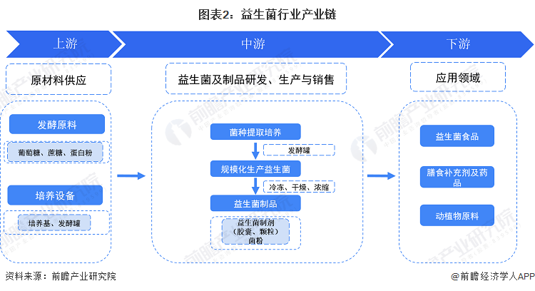 植物基蛋白产品市场需求结构变化预测docx(图1)